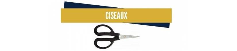 Catégorie Les ciseaux KS tools sur leroidelapieceauto.fr