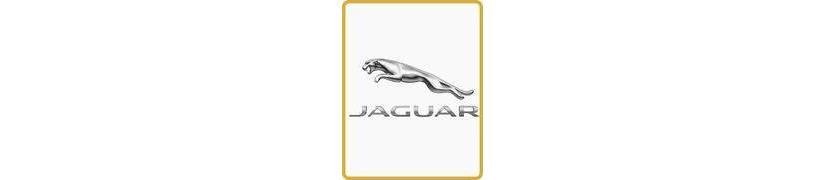 Distribution moteur Jaguar | leroidelapieceauto.fr